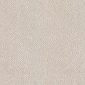 Neptunus-P1-turtledove